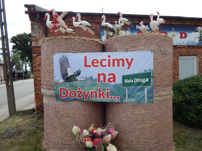 Dożynki w Białej